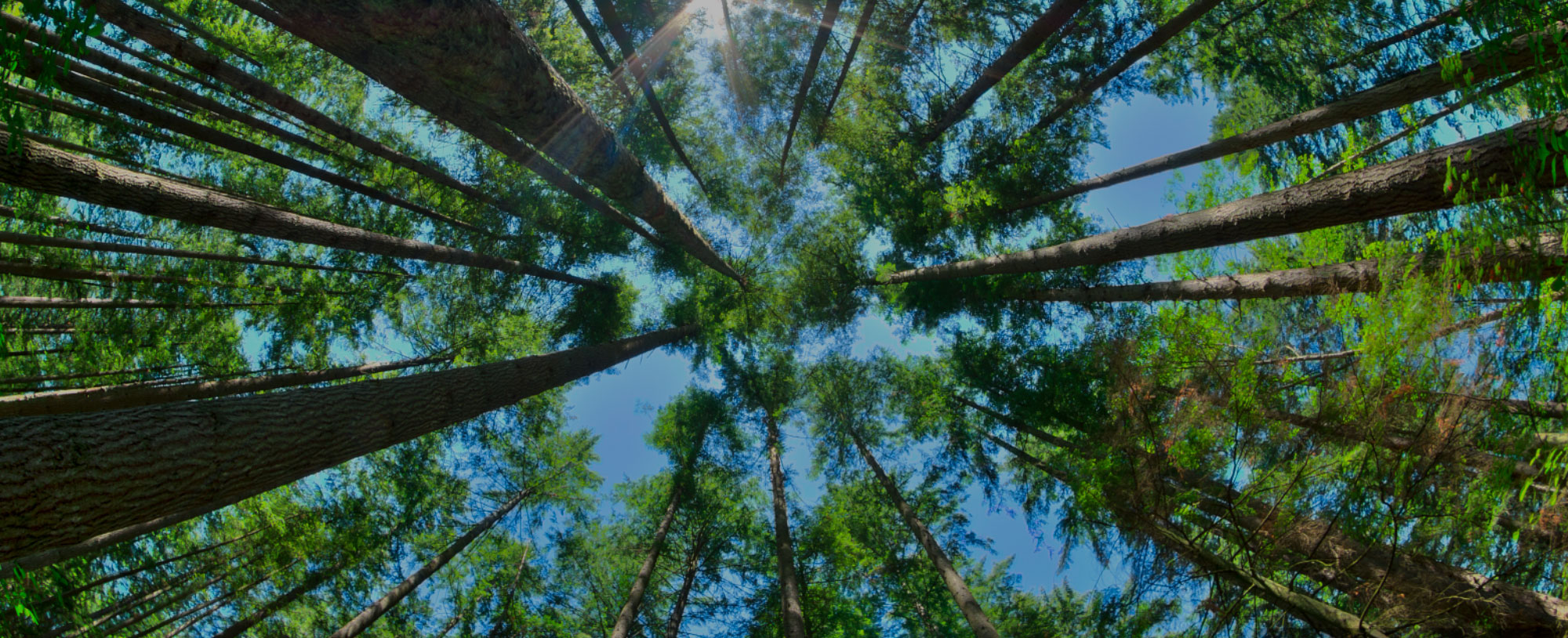 环保理念背景图